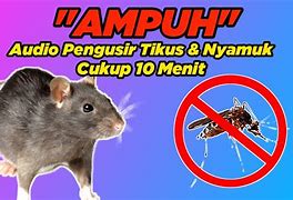 Suara Pengusir Tikus